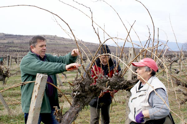 Неделчо Попов, председател на земеделска кооперация „Тунджа 94“ в с. Паничерево, област Стара Загора вляво