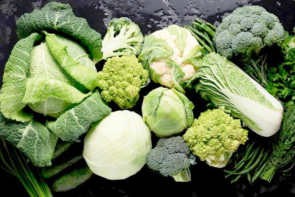 Cabbage crops – subject to attack by diseases and pests