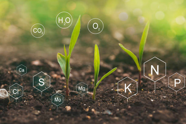 Резултати от приложението на Nutrilife