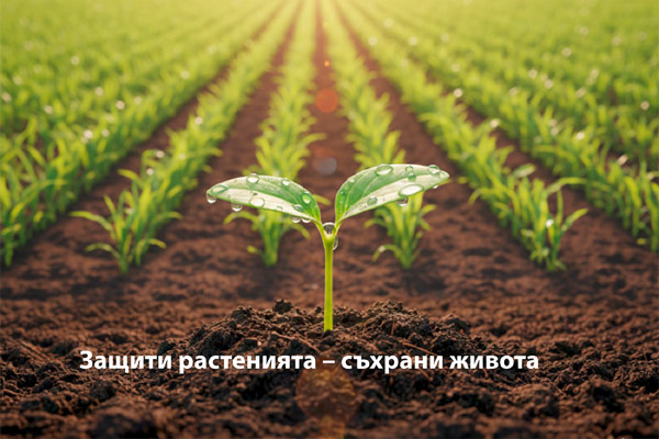 MultipartFile resource [file_data]