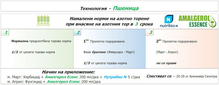 Amegerol Wheat Technology