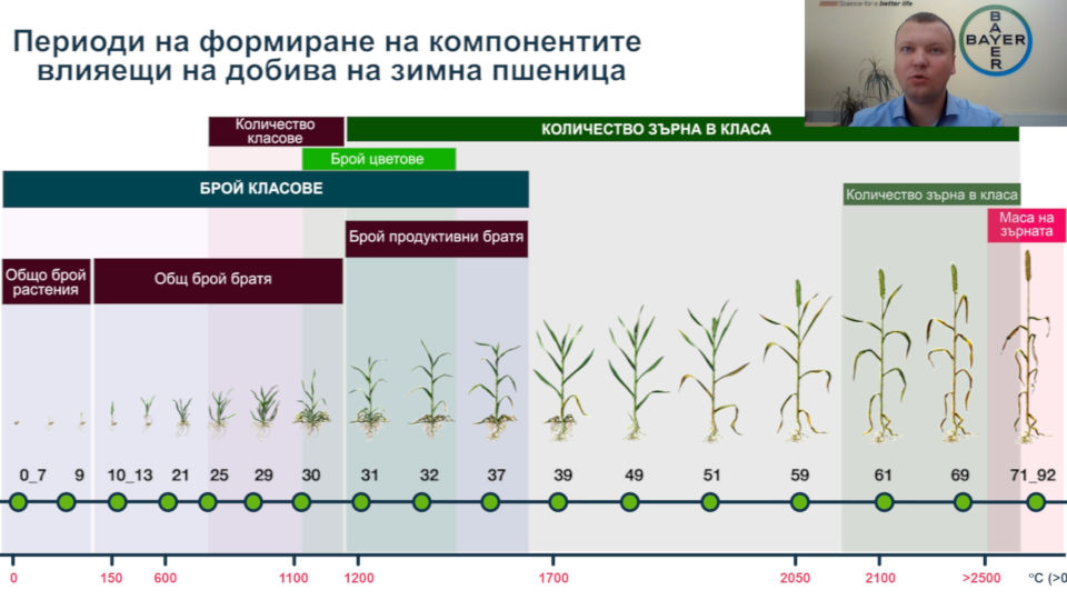 Периоди на формиране на компонентите влияещи на добива на зимна пшеница