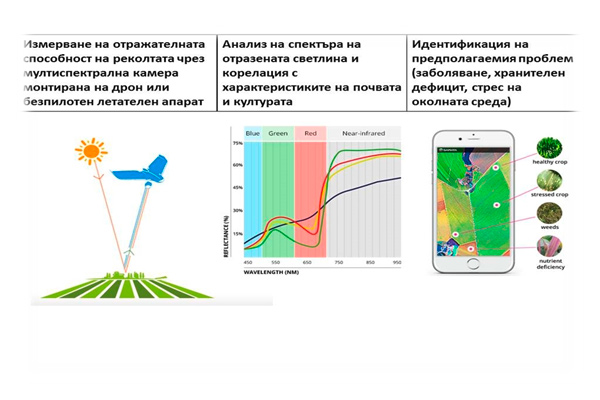 Измерване, анализ и идентификация на мултиспектрални изображения, заснети посредством БЛА (дронове)