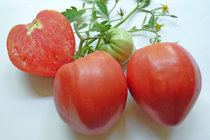 Нов сорт домати "Розово сърце"