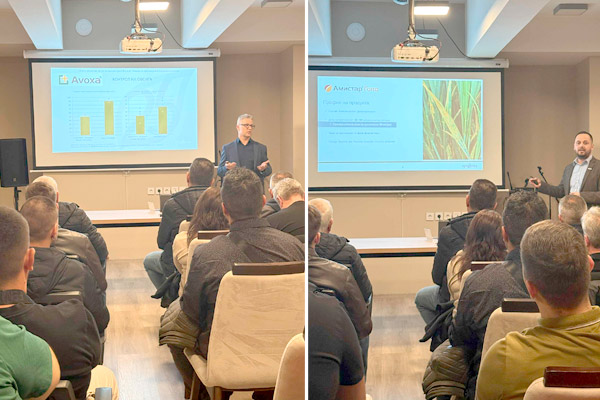 MultipartFile resource [file_data]