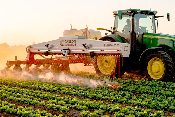 MultipartFile resource [file_data]