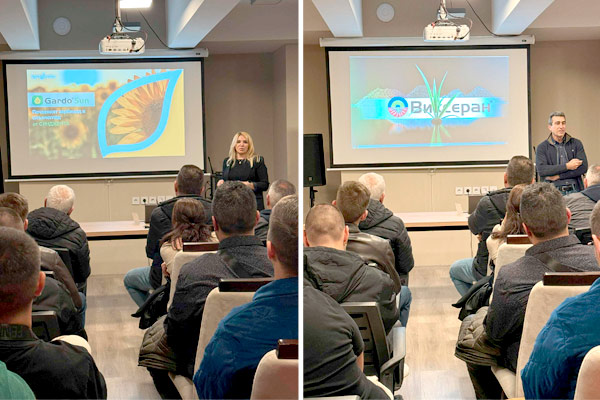 MultipartFile resource [file_data]