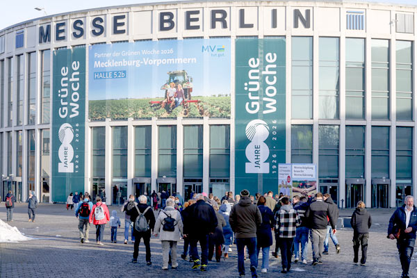 MultipartFile resource [file_data]