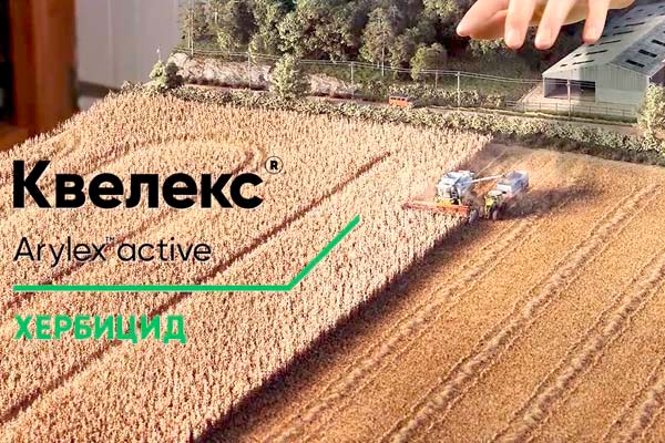 MultipartFile resource [file_data]