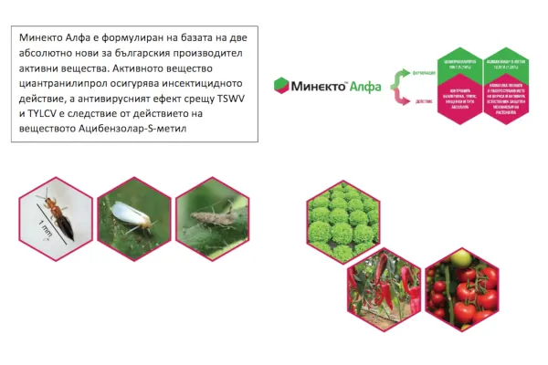 Минфекто Алфа - инсектицид както за листно, така и за почвено приложение