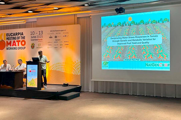 MultipartFile resource [file_data]