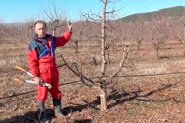 MultipartFile resource [file_data]