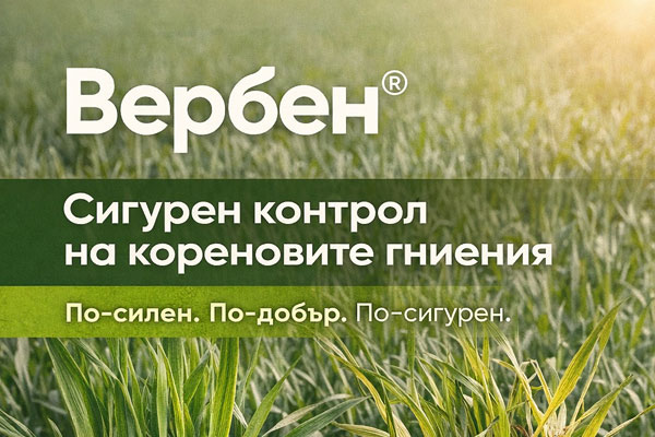 MultipartFile resource [file_data]