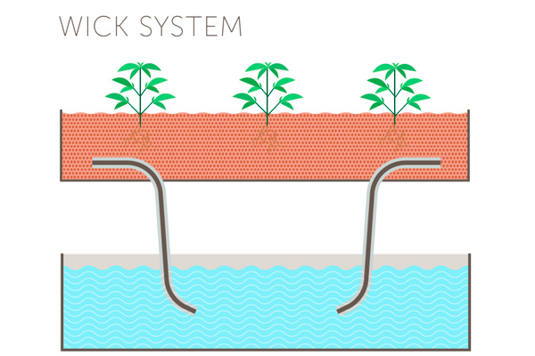 Системата Wick е най-простият тип хидропонна система. Хранителният разтвор се изтегля в хранителната среда от резервоара с т. нар. фитили, които абсорбират разтвора и го предават по капилярен път. 
