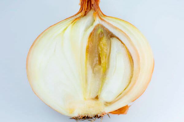 MultipartFile resource [file_data]