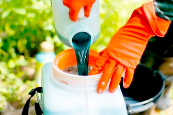 MultipartFile resource [file_data]