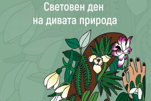 MultipartFile resource [file_data]