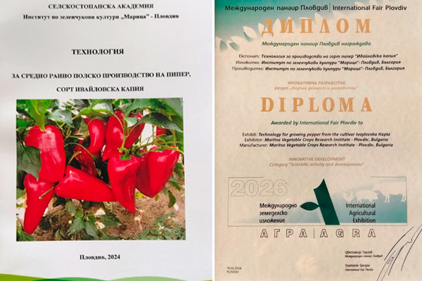 MultipartFile resource [file_data]