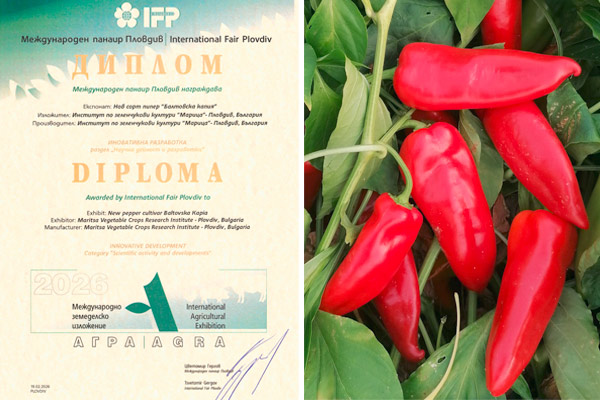 MultipartFile resource [file_data]