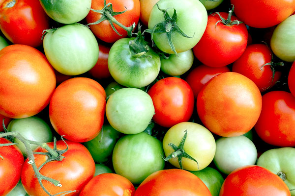 MultipartFile resource [file_data]