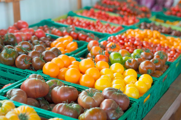 MultipartFile resource [file_data]