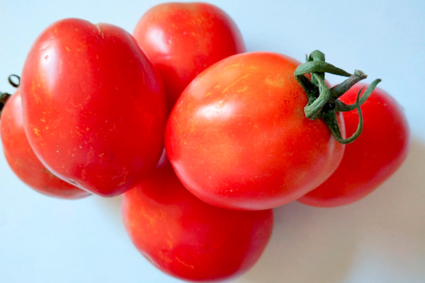 MultipartFile resource [file_data]