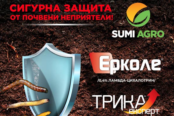 MultipartFile resource [file_data]