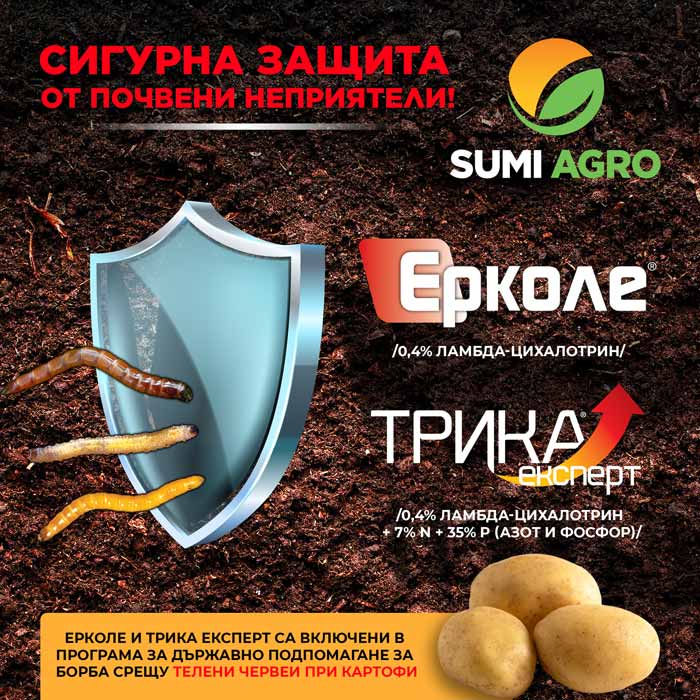 MultipartFile resource [file_data]