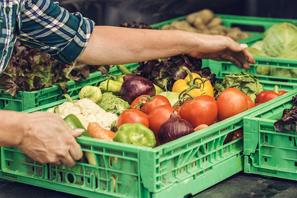 MultipartFile resource [file_data]