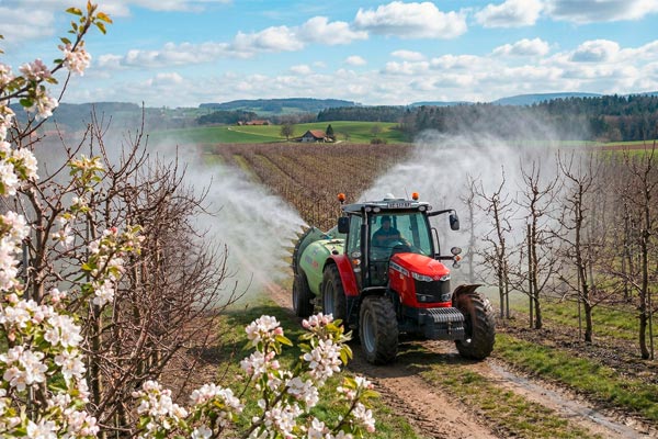 MultipartFile resource [file_data]