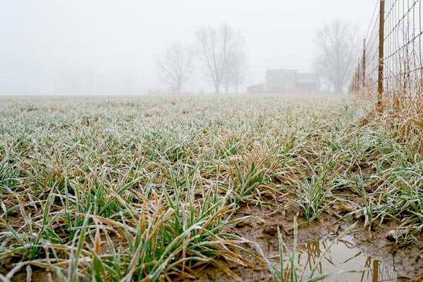 MultipartFile resource [file_data]