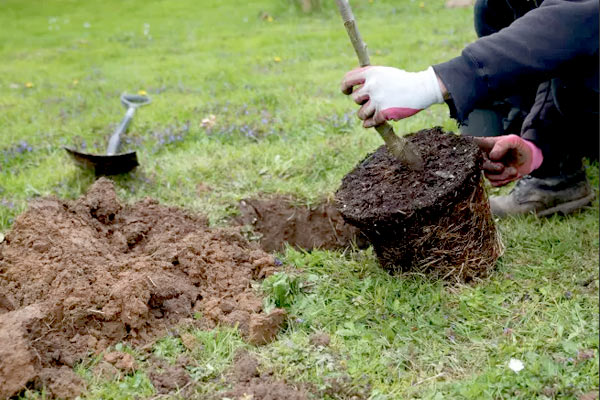 MultipartFile resource [file_data]