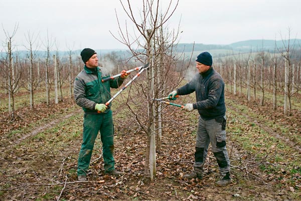 MultipartFile resource [file_data]