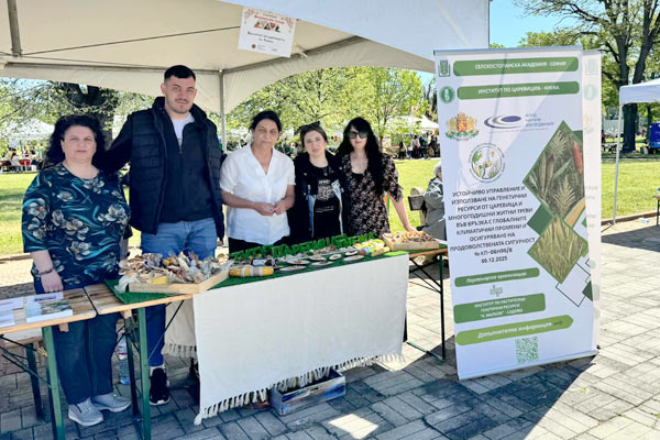 MultipartFile resource [file_data]