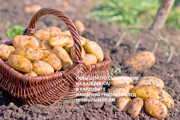 MultipartFile resource [file_data]