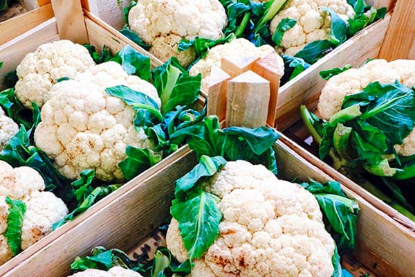 MultipartFile resource [file_data]