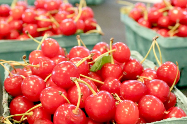 MultipartFile resource [file_data]