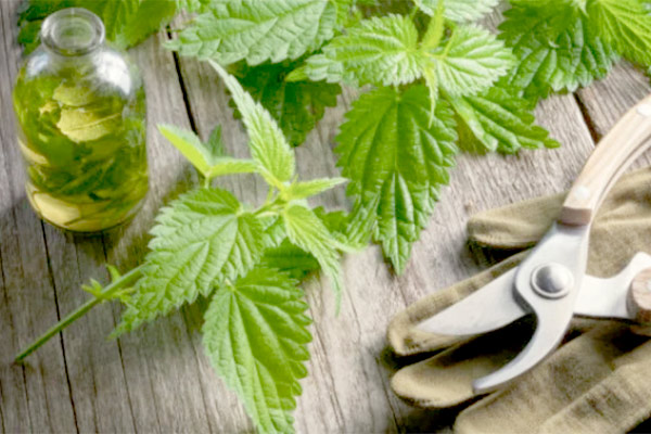 MultipartFile resource [file_data]