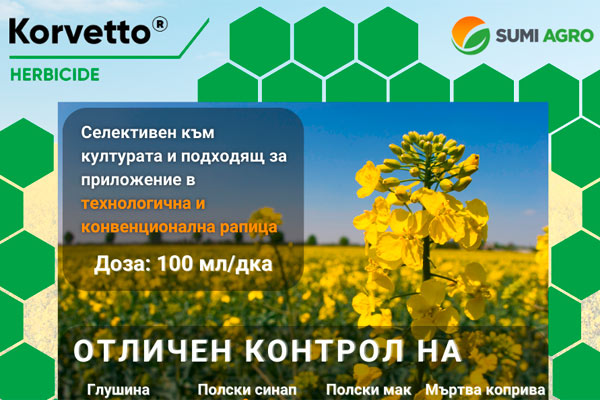 MultipartFile resource [file_data]