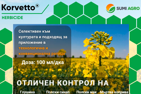 MultipartFile resource [file_data]