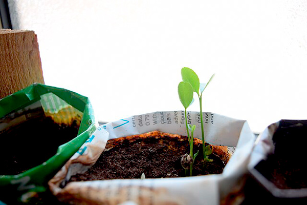 MultipartFile resource [file_data]