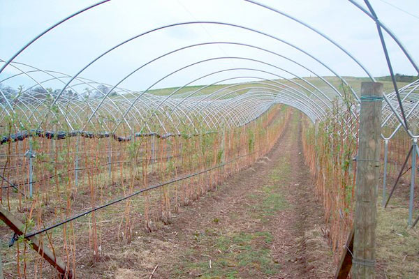 MultipartFile resource [file_data]