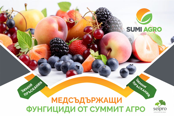 MultipartFile resource [file_data]