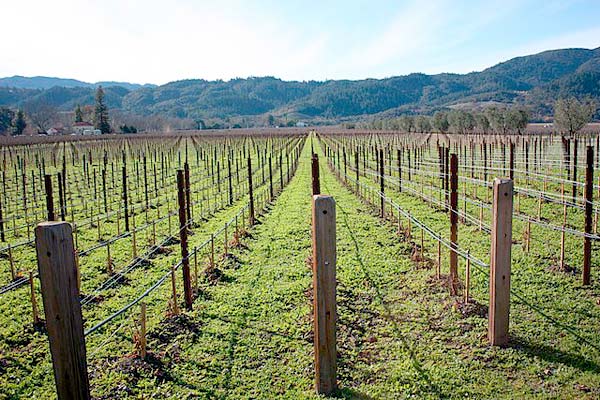 MultipartFile resource [file_data]