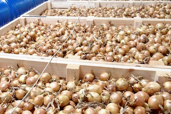 MultipartFile resource [file_data]