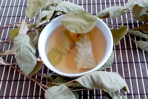 MultipartFile resource [file_data]