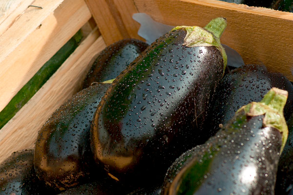 MultipartFile resource [file_data]