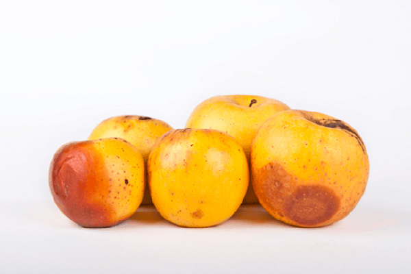 MultipartFile resource [file_data]