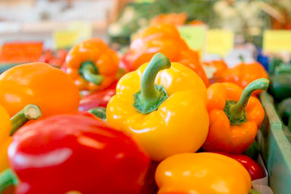 MultipartFile resource [file_data]