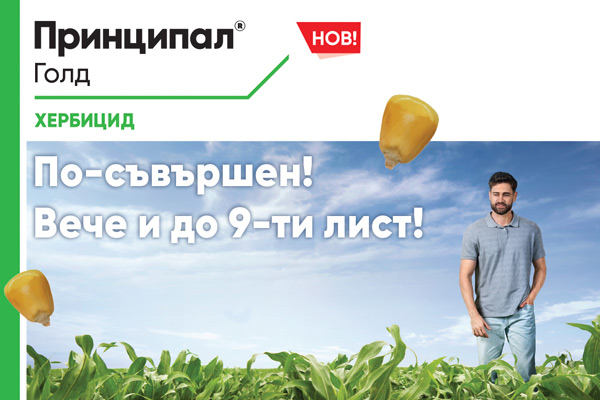 MultipartFile resource [file_data]